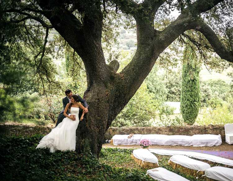 Encina tricentenaria. Un árbol catalogado por su historia y su belleza. Bajo su sombra se celebran eventos en un marco rústico incomparable